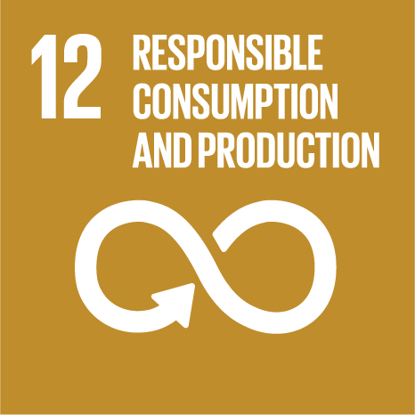 BioMetallum Startup: Objetivo 12 de los Objetivos de Desarrollo Sostenible de la ONU: Garantizar patrones de consumo y producción sostenibles.